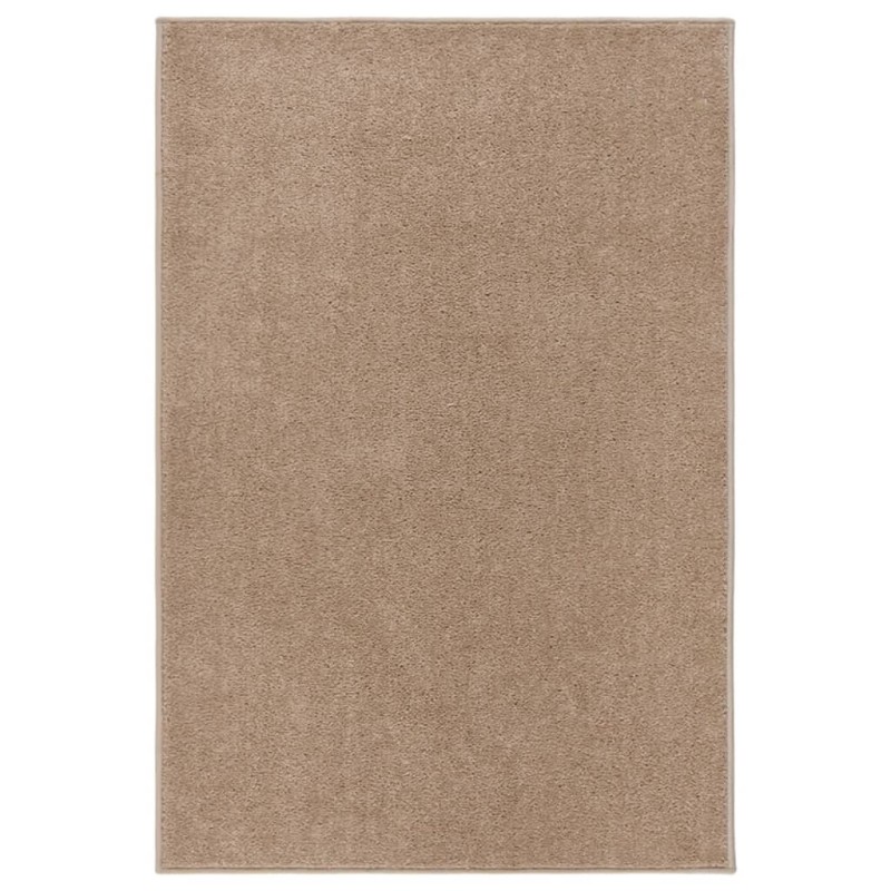 Tapis à poils courts 160x230 cm Marron 