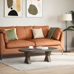 Pieds de table basse en forme de X, 2 pièces, acier naturel, 30 x (30-31) cm 