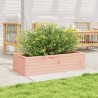 Jardinière 90x40x23 cm bois massif douglas 