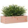 Jardinière 90x40x23 cm bois massif douglas 