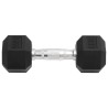 Haltères 2 pcs 12 kg Fonte 