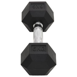 Haltères 2 pcs 12 kg Fonte 