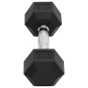 Haltères 2 pcs 12 kg Fonte 