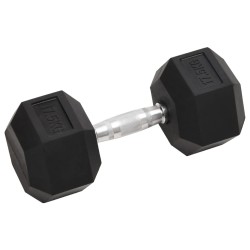 Haltère 17,5 kg Fonte 