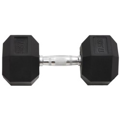 Haltère 17,5 kg Fonte 