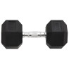 Haltère 17,5 kg Fonte 