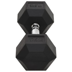 Haltère 17,5 kg Fonte 