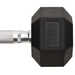 Haltère 17,5 kg Fonte 