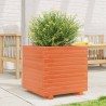 Jardinière cire marron 50x50x49,5 cm bois de pin massif 