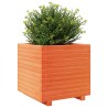 Jardinière cire marron 50x50x49,5 cm bois de pin massif 