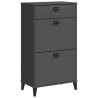 Armoire à chaussures VIKEN gris anthracite bois d'ingénierie 