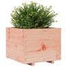 Jardinière 60x60x49,5 cm bois massif de douglas 