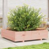 Jardinière 100x100x26,5 cm bois massif de douglas 