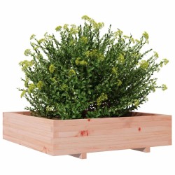 Jardinière 100x100x26,5 cm bois massif de douglas 