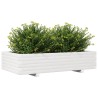 Jardinière blanc 110x60x26,5 cm bois de pin massif 