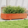 Jardinière cire marron 110x60x26,5 cm bois de pin massif 