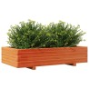 Jardinière cire marron 110x60x26,5 cm bois de pin massif 