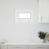 Fenêtre sous-sol RISOR 60x40 cm inclinable 3vitrages anthracite 
