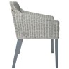 Chaise à manger avec coussin Gris Rotin naturel 