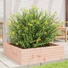 Jardinière 80x80x23 cm bois massif de douglas 