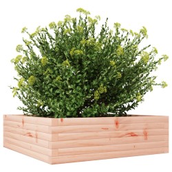 Jardinière 80x80x23 cm bois massif de douglas 