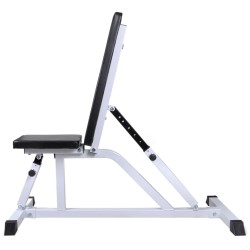 Banc d'entraînement avec jeu d'haltères 60,5 kg 
