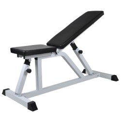 Banc d'entraînement avec jeu d'haltères 60,5 kg 