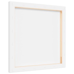Toiles à peindre 12 pcs blanc tissu et bois massif pin 