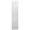 Armoire à bureau porte coulissante Gris clair 90x40x180cm Acier 