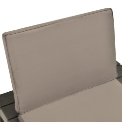Chaises de salon de jardin et coussins 4pc Plastique Anthracite 