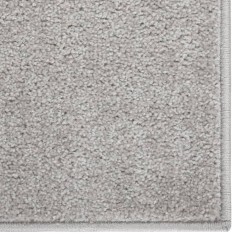 Tapis à poils courts 80x150 cm Gris clair 