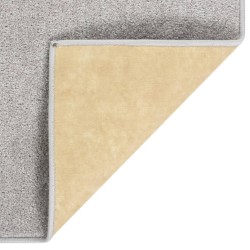 Tapis à poils courts 80x150 cm Gris clair 