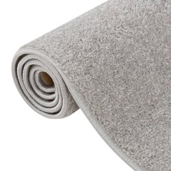 Tapis à poils courts 80x150 cm Gris clair 