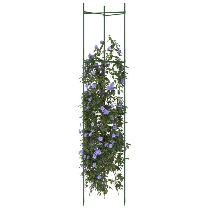 Cage à tomates 2 pcs 154 cm acier et PP 