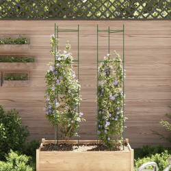 Cage à tomates 2 pcs 154 cm acier et PP 