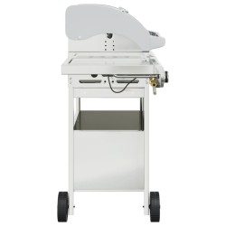 Barbecue gril à gaz avec 4 brûleurs argenté acier inoxydable 