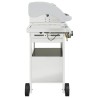 Barbecue gril à gaz avec 4 brûleurs argenté acier inoxydable 
