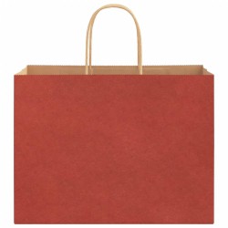 Sacs en papier 50 pcs avec poignées rouge 32x17x25 cm 