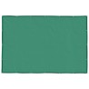 Filet pour remorque vert 2x3 m PEHD 