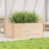 Jardinière 110x60x46 cm bois de pin massif 