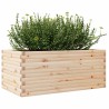 Jardinière 110x60x46 cm bois de pin massif 