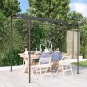 Auvent anthracite 2x2,3 m 180 g/m² tissu et acier 
