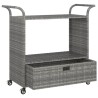 Chariot de bar avec tiroir Gris 100x45x97 cm Résine tressée 