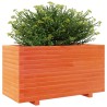 Jardinière cire marron 90x40x49,5 cm bois de pin massif 