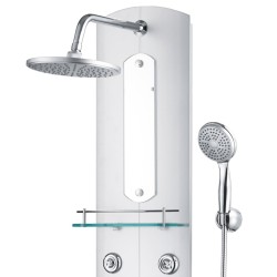 Panneau de douche 25x43x110 cm Argenté 