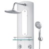 Panneau de douche 25x43x110 cm Argenté 