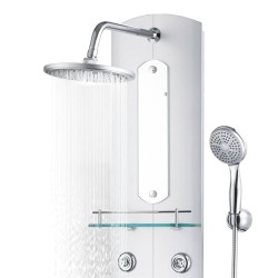 Panneau de douche 25x43x110 cm Argenté 