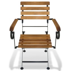 Chaises pliables de jardin lot de 2 Acier et bois acacia solide 