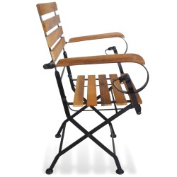 Chaises pliables de jardin lot de 2 Acier et bois acacia solide 