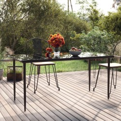 Table à dîner de jardin Noir 160x80x74 cm Acier et verre trempé 